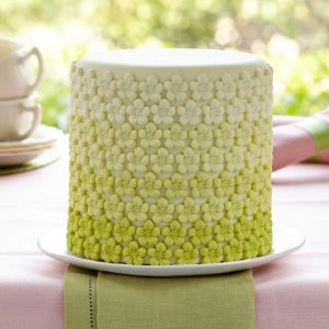 Molde Para Fondant Y Pasta De Goma Naturaleza