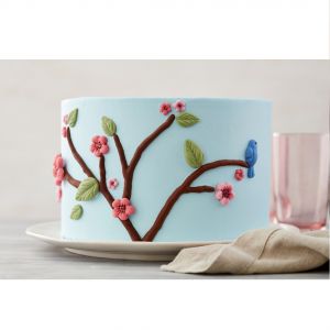 Molde Para Fondant Y Pasta De Goma Naturaleza